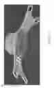 Fig. 13 - FIXATION SYSTEM
