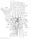 Fig. 01 - METHOD AND APPARATUS FOR WRIST ARTHROPLASTY