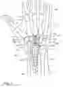 Fig. 02 - METHOD AND APPARATUS FOR WRIST ARTHROPLASTY