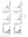 Fig. 02 - Polycentric powered ankle prosthesis