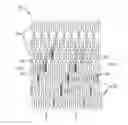 Fig. 01 - Uncaging stent