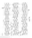 Fig. 99 - Uncaging stent