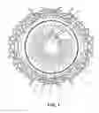 Fig. 02 - Single operator device for delivering an ocular implant
