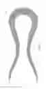 Fig. 43 - ABSORBENT ARTICLES HAVING SUBSTRATES HAVING ZONAL TREATMENTS