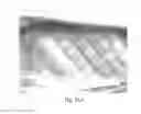 Fig. 45 - ABSORBENT ARTICLES HAVING SUBSTRATES HAVING ZONAL TREATMENTS