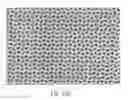Fig. 49 - ABSORBENT ARTICLES HAVING SUBSTRATES HAVING ZONAL TREATMENTS