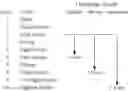 Fig. 02 - KERATIN FIBRE BLEACHING COMPOSITION