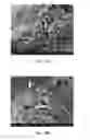 Fig. 03 - COMPOSITION WITH EXOGENOUS MITOCHONDRIA AS ACTIVE INGREDIENTS AND USE THEREOF AND CELL REPAIRING METHOD THEREFOR