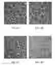 Fig. 08 - COMPOSITION WITH EXOGENOUS MITOCHONDRIA AS ACTIVE INGREDIENTS AND USE THEREOF AND CELL REPAIRING METHOD THEREFOR