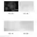 Fig. 09 - COMPOSITION WITH EXOGENOUS MITOCHONDRIA AS ACTIVE INGREDIENTS AND USE THEREOF AND CELL REPAIRING METHOD THEREFOR