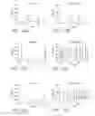Fig. 12 - SPHINGOMYELIN LIPOSOMES FOR THE TREATMENT OF HYPERACTIVE BLADDER DISORDERS