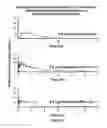 Fig. 32 - PHARMACEUTICAL COMPOSITIONS WITH ENHANCED PERMEATION