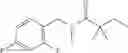Fig. 41 - Necrosis inhibitors