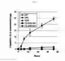 Fig. 13 - Kartogenin-conjugated chitosan particles with improved sustained release property and biocombatibility, and use thereof