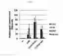 Fig. 14 - Kartogenin-conjugated chitosan particles with improved sustained release property and biocombatibility, and use thereof