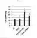 Fig. 18 - Kartogenin-conjugated chitosan particles with improved sustained release property and biocombatibility, and use thereof