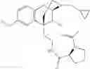 Fig. 22 - Benzomorphan analogs and the use thereof