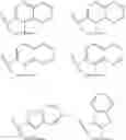 Fig. 643 - INHIBITORS OF HEPATITIS C VIRUS