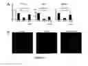Fig. 07 - Methods of Treatment