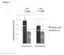 Fig. 04 - Estrogen therapy for brain gray matter atrophy and associated disability