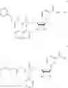 Fig. 08 - Nicotinamide mononucleotide derivatives and their uses