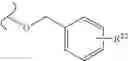 Fig. 296 - Nicotinamide mononucleotide derivatives and their uses