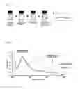 Fig. 07 - MICELLE FORMULATIONS OF AMPHOTERICIN B