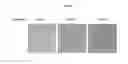 Fig. 06 - Novel Mensenchymal Stem Cells And Bone-Forming Cells
