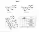Fig. 02 - Synergistic composition for osteoarthritis