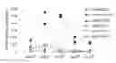 Fig. 01 - PRIMING OF AN IMMUNE RESPONSE