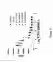 Fig. 06 - PRIMING OF AN IMMUNE RESPONSE