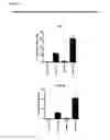 Fig. 06 - Means and methods for active cellular immunotherapy of cancer by using tumor cells killed by high hydrostatic pressure and dendritic cells