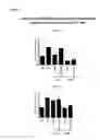 Fig. 10 - Means and methods for active cellular immunotherapy of cancer by using tumor cells killed by high hydrostatic pressure and dendritic cells