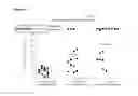 Fig. 11 - Means and methods for active cellular immunotherapy of cancer by using tumor cells killed by high hydrostatic pressure and dendritic cells