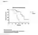 Fig. 12 - Means and methods for active cellular immunotherapy of cancer by using tumor cells killed by high hydrostatic pressure and dendritic cells