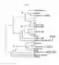 Fig. 10 - MULTIPLE VARIANTS OF MENINGOCOCCAL PROTEIN NMB1870