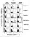 Fig. 12 - MULTIPLE VARIANTS OF MENINGOCOCCAL PROTEIN NMB1870
