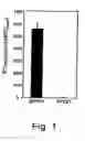 Fig. 02 - Attenuated Bordetella strains