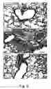Fig. 09 - Attenuated Bordetella strains