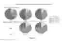 Fig. 12 - Methods and compositions for inducing protective immunity against filovirus infection