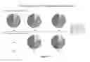 Fig. 13 - Methods and compositions for inducing protective immunity against filovirus infection