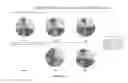 Fig. 16 - Methods and compositions for inducing protective immunity against filovirus infection