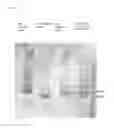 Fig. 02 - VACCINE