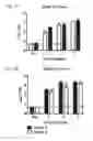 Fig. 02 - Biochemically stabilized HIV-1 Env trimer vaccine