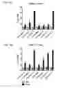 Fig. 05 - Biochemically stabilized HIV-1 Env trimer vaccine