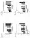 Fig. 07 - Biochemically stabilized HIV-1 Env trimer vaccine