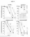 Fig. 05 - Viral vectors and their use in therapeutic methods