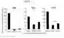 Fig. 07 - Viral vectors and their use in therapeutic methods