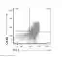 Fig. 01 - COMBINATION THERAPY COMPRISING OX40 BINDING AGONISTS AND PD-1 AXIS BINDING ANTAGONISTS