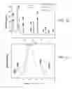 Fig. 04 - Materials and Methods for the Delivery of a Nanocarrier to the Brain